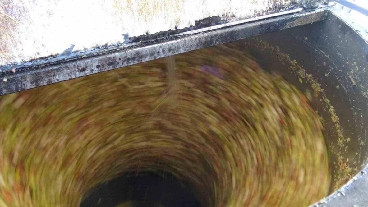 Gercüş’te fıstık hasadı makine desteğiyle dakikalara indi