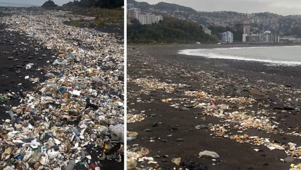Zonguldak'ta sağanağın ardından denize sürüklenen çöpler kıyıya vurdu