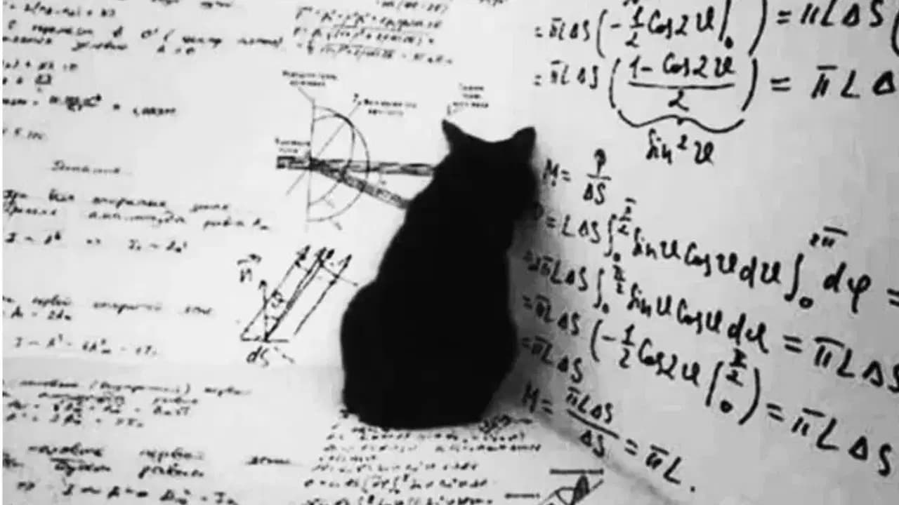 Schrödinger’in 1944 tarihli yayımlanmamış makalesi arşivde bulundu