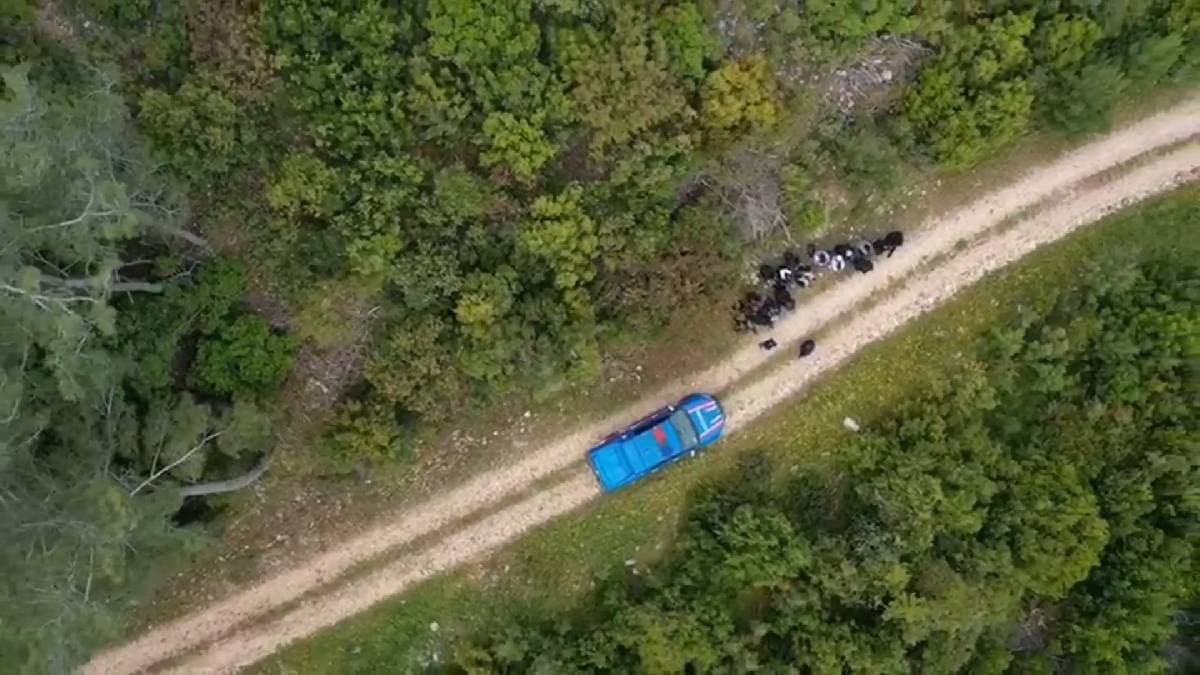 Jandarma operasyonlarında 2 bin 822 düzensiz göçmen yakalandı
