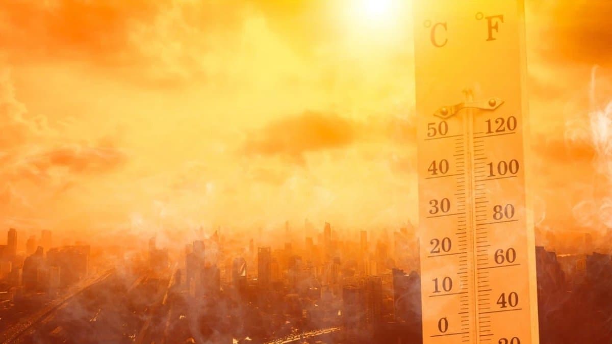 2026 pastırma yazında sıcaklıklar 24 dereceye çıkacak
