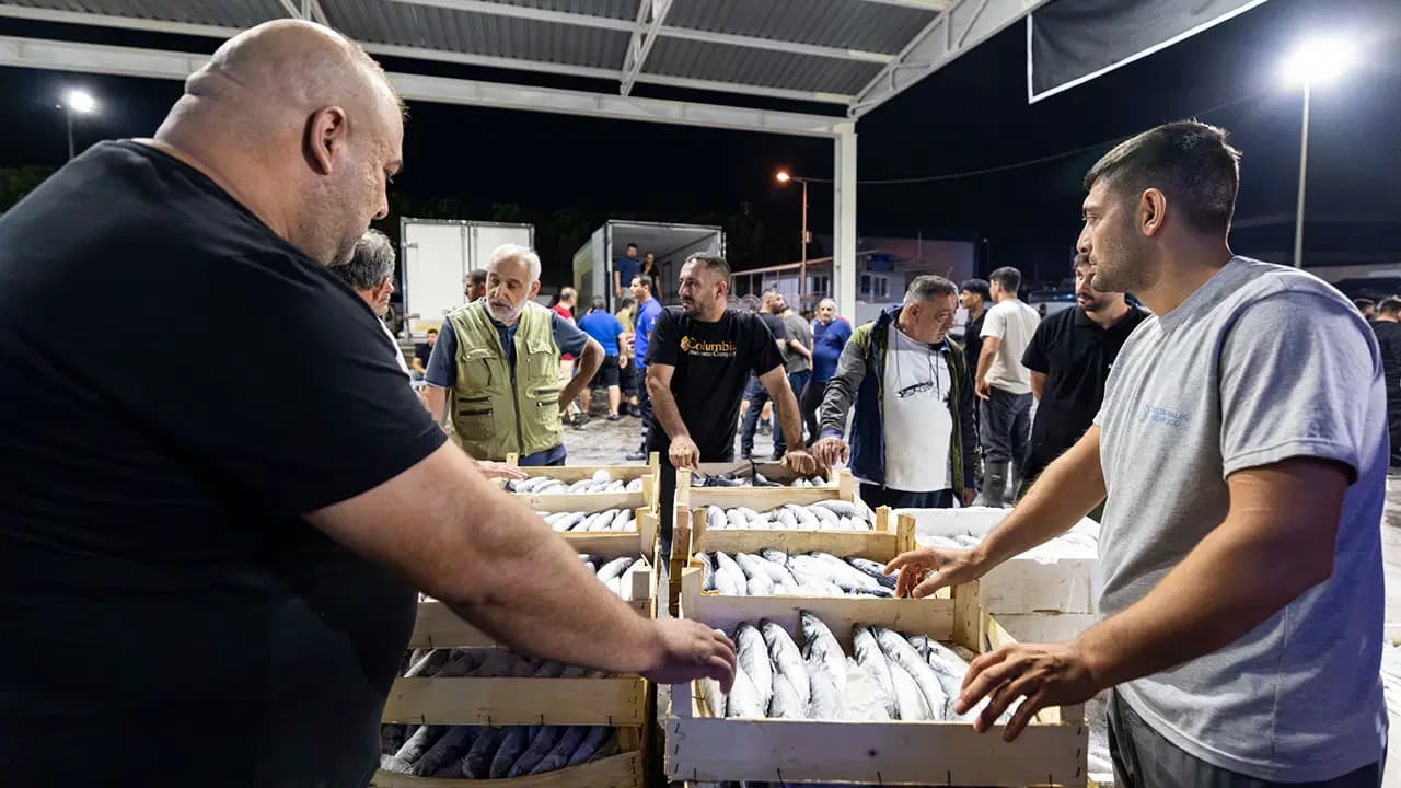 İzmir Su Ürünleri Hali’nde eylül bereketi: Palamutun işlem hacmi yükseldi
