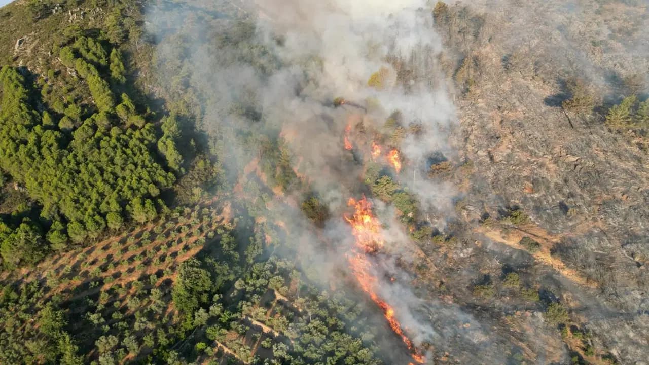 Antalya’da 180 hektarlık orman yangınlarıyla ilgili 6 gözaltı