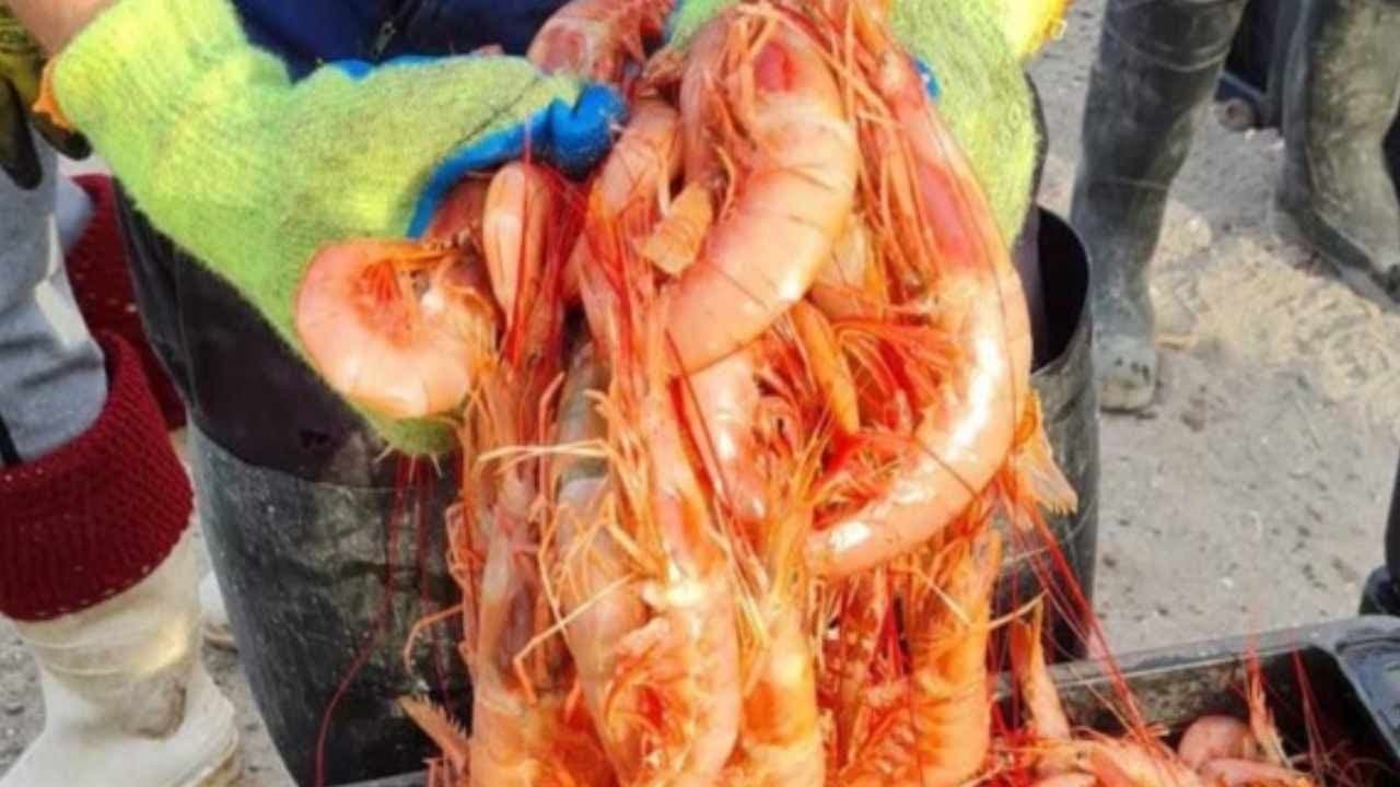 Sular ikiye bölündü, 4 günlük alarm verildi: Boyu tam 21 metre
